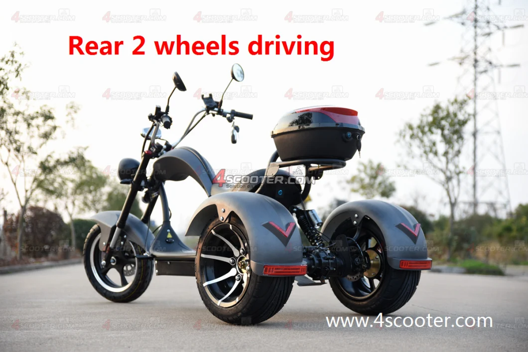 EEC 4000W 5000W Dual Match Citycoco Chopper Trike Scooter Three Wheel Electric Motorcycle