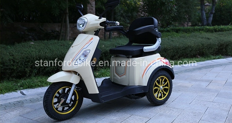 Handicapped Motorized Tricycles for Adults 3 Wheel 1000W Three Electric Scooter 500W