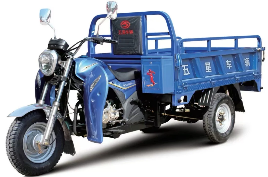 High-End Cargo Transport Three Wheeler Motorcycles, Gasoline Tricycle From China for Sale