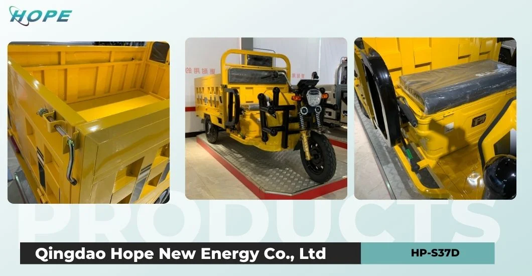 2024 Battery Powered Front Load 3 Wheel Electric Cargo Tricycle for Sale