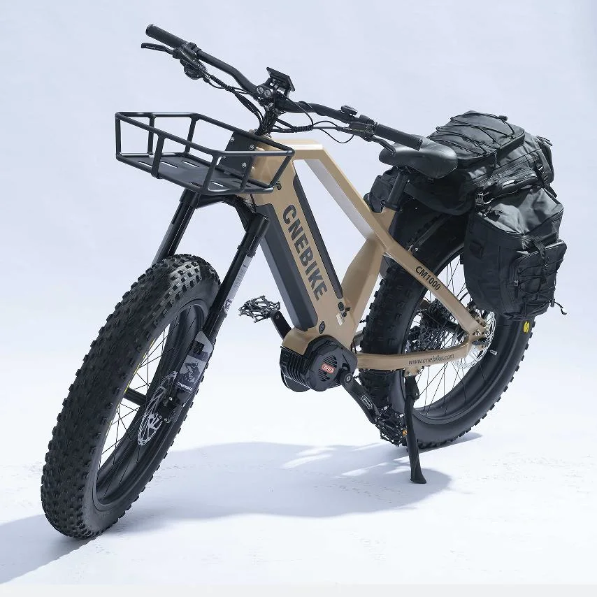 Chain Driving Electric Fat Tire Bike Double Battery E Bicycle Bafang M620 MID Drive System Ebike