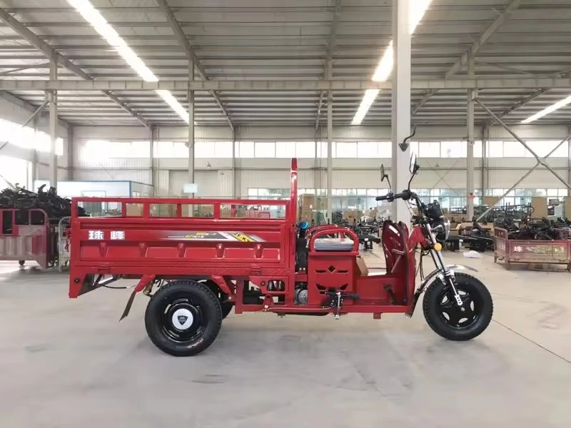 100-150cc Motorized Tricycle with Cabin Water Cooler Three Wheel Covered Gas Motorcycle Cargo Tricycle for Sale