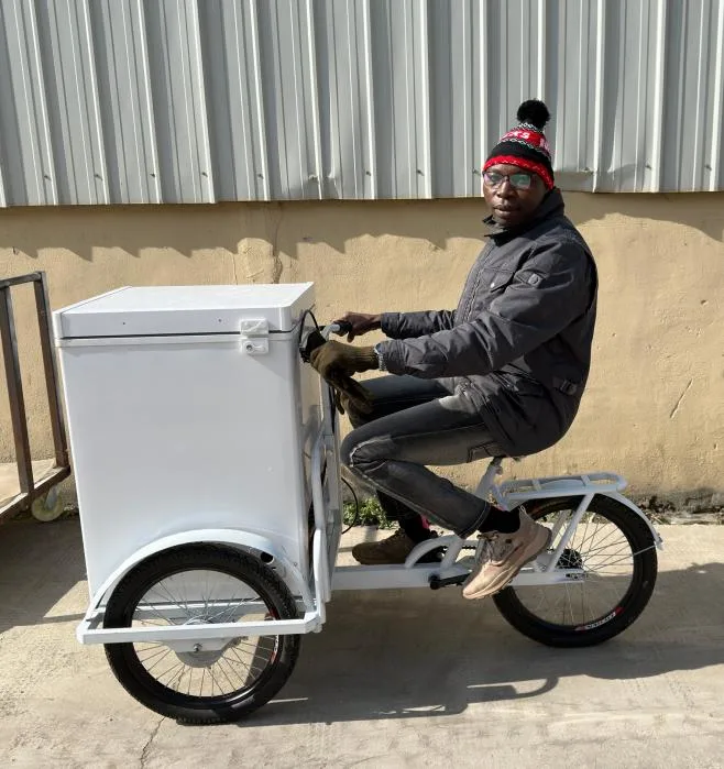 68L Portable Ice Cream Bicycle with Freezer