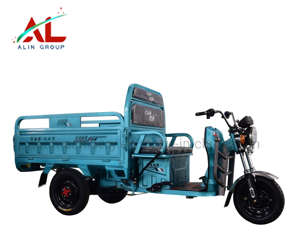 650W 500W Differiential Motor 3 Wheel Trike CE with for Adult Passenger and Cargo Carry Electric Tricycle