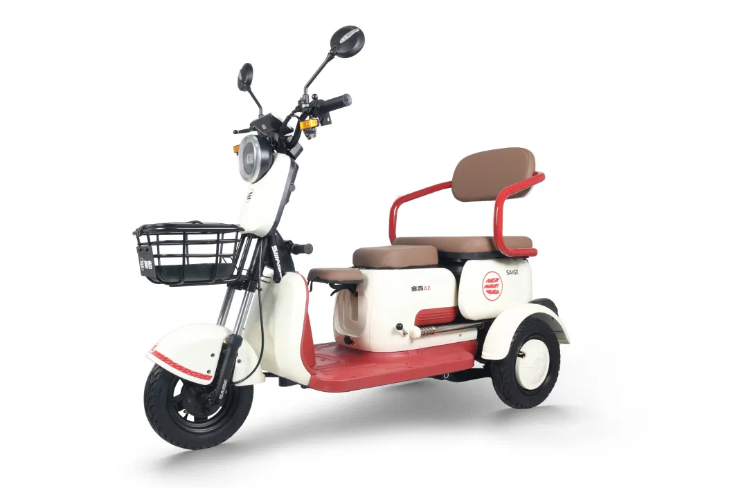 Saige Electric Trike Kate EEC for Adult 1000W New Vehicle 2023