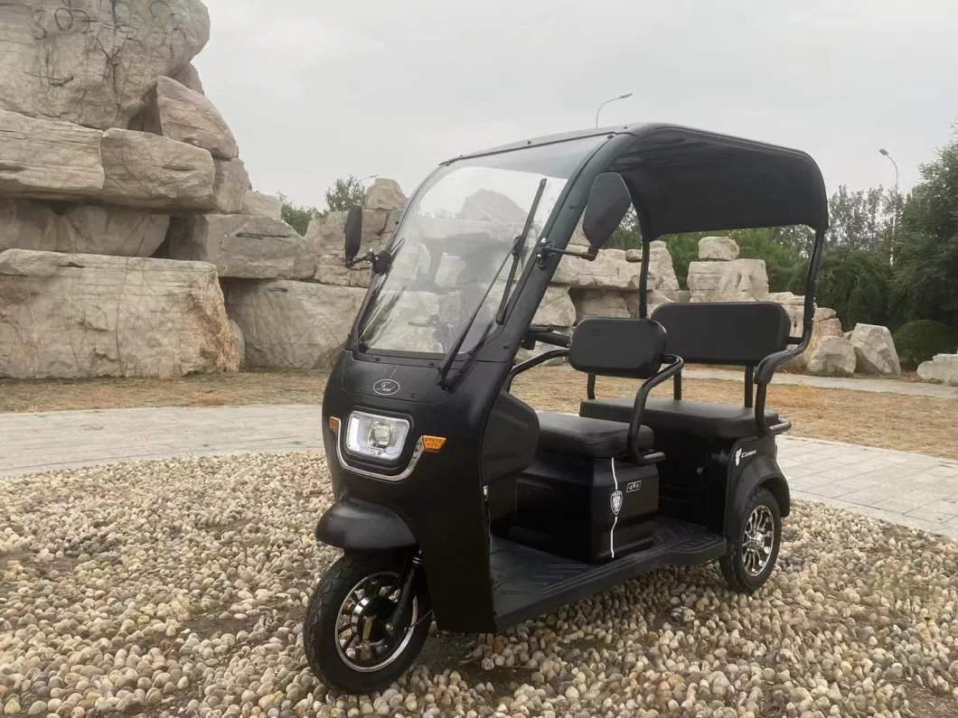 Bajaj Electric Rickshaw Adult Mini Bus 3 Wheel Tricycle The Elderly Mini Electric Motorcycle Battery Power Bike for Sale From QS