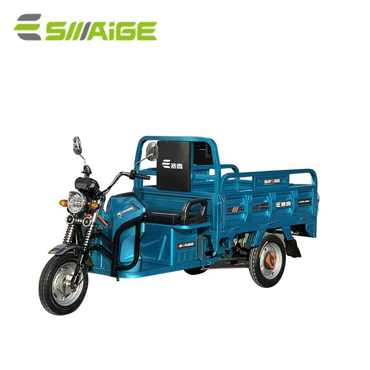 Saige Adult 3 Wheel Electric Powered Cargo Bicycle with Cargo Boxes with EEC Certificate