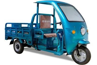 High Quality Passenger Tricycle Triciclo Electrico Closed Tricycle Electric Rickshaw for Elder