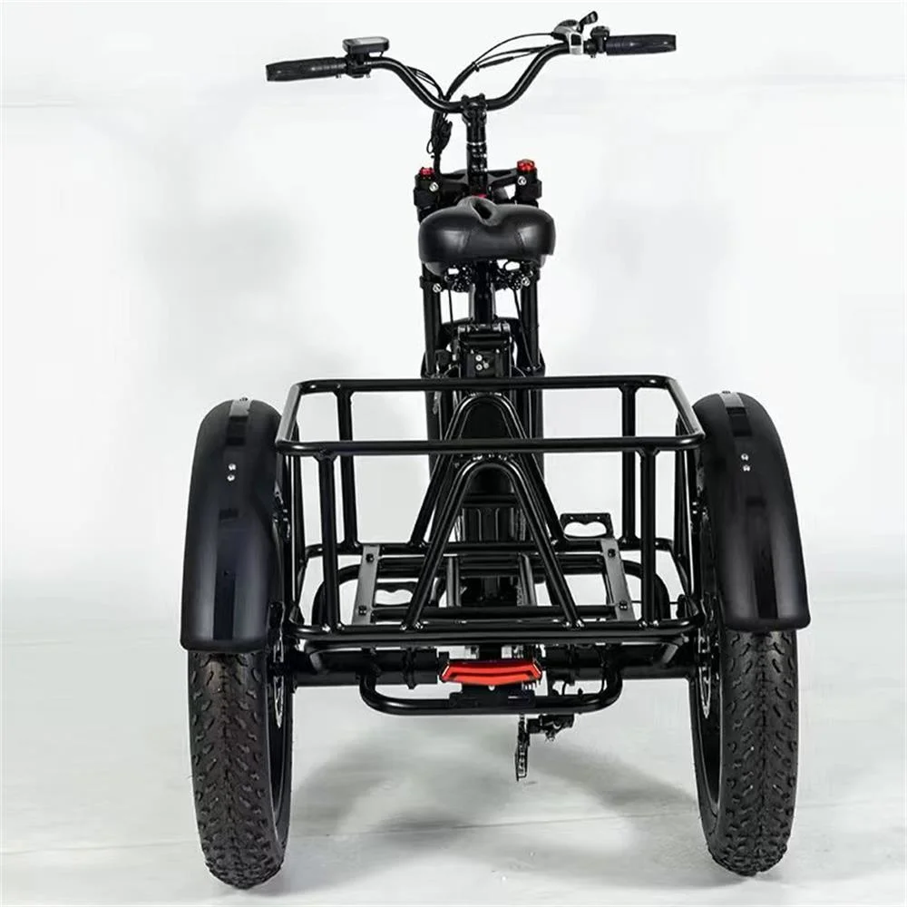 48V 500W Powerful 3 Wheel Outside Frame Body Electric Tricycles for Adult