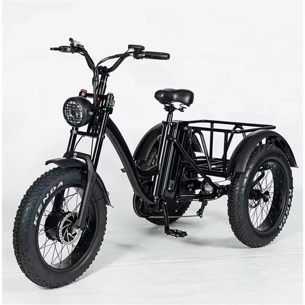 48V 500W Powerful 3 Wheel Outside Frame Body Electric Tricycles for Adult