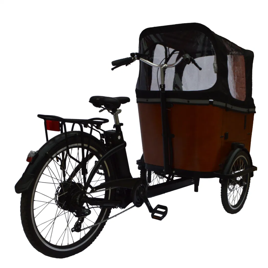 New Design 20/26 Inch Three Wheels Cargo Electric Tricycle E Cargo Bike for Adult