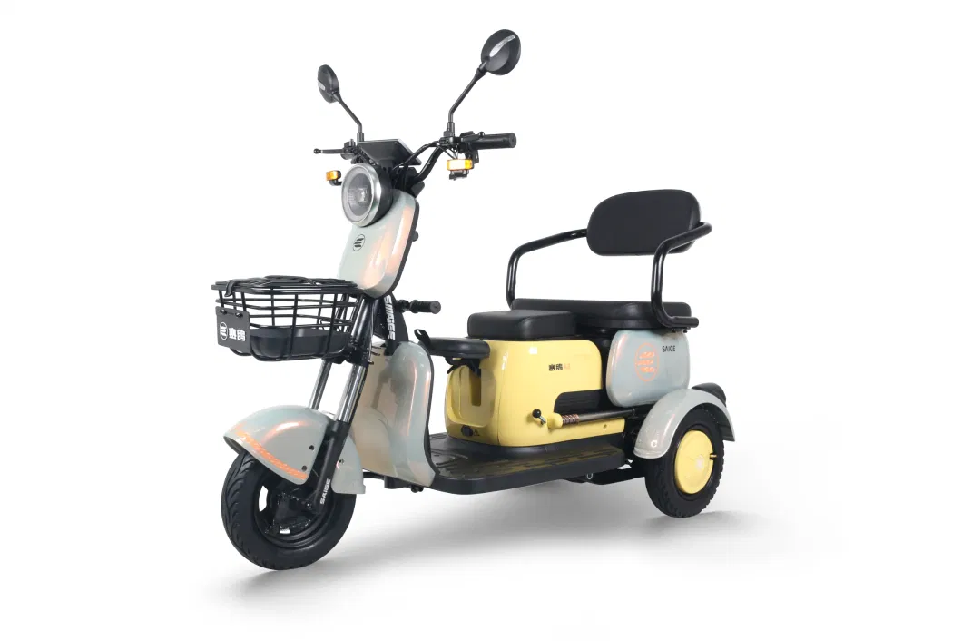 Saige Electric Trike Kate EEC for Adult 1000W New Vehicle 2023