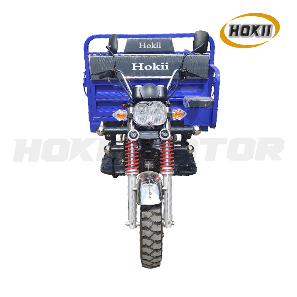 China Hokii Manufacturer Produced Hot Sale Model 150cc Gasoline Engine Cargo Tricycle Heavy Load