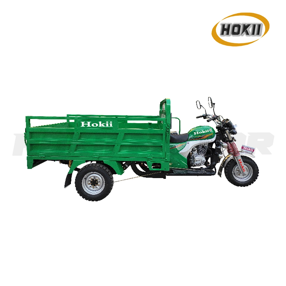 China Hokii Manufacturer Produced Hot Sale Model 150cc Gasoline Engine Cargo Tricycle Heavy Load