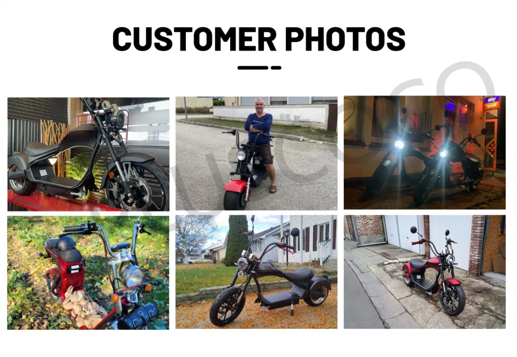 2024 Top 1 Seller Electric Tricycles Family Shopping Vehicles Large Carry off Road Tires Adult Bicycles