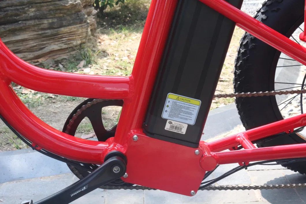 Economical Affordable Electric Cargo Bike with LCD Display Lithium Battery Electric Tricycle