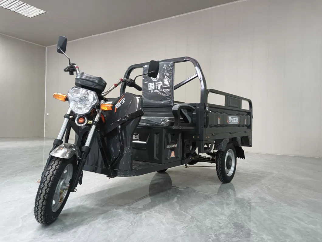 Best Quality Factory Directly Supply Electric Passenger Tricycle for Adults