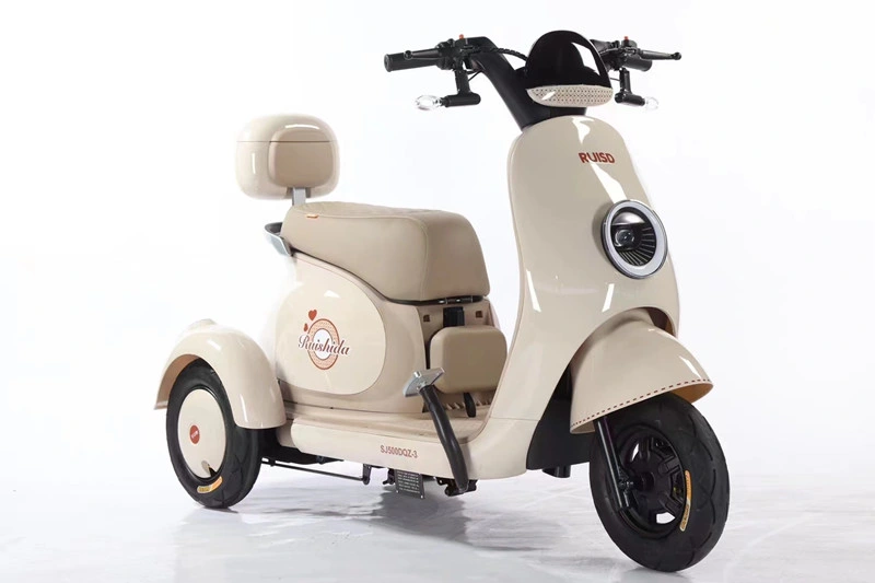 Mini Electric Motorbike 650W Three Wheels Passager Electric Tricycle for Sale