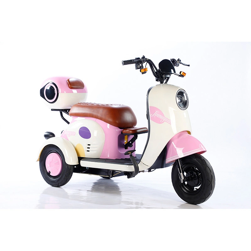 V1 Sightseeing Electric Tricycle Trike with Windshield Wiper Adult Recreational Electric Car