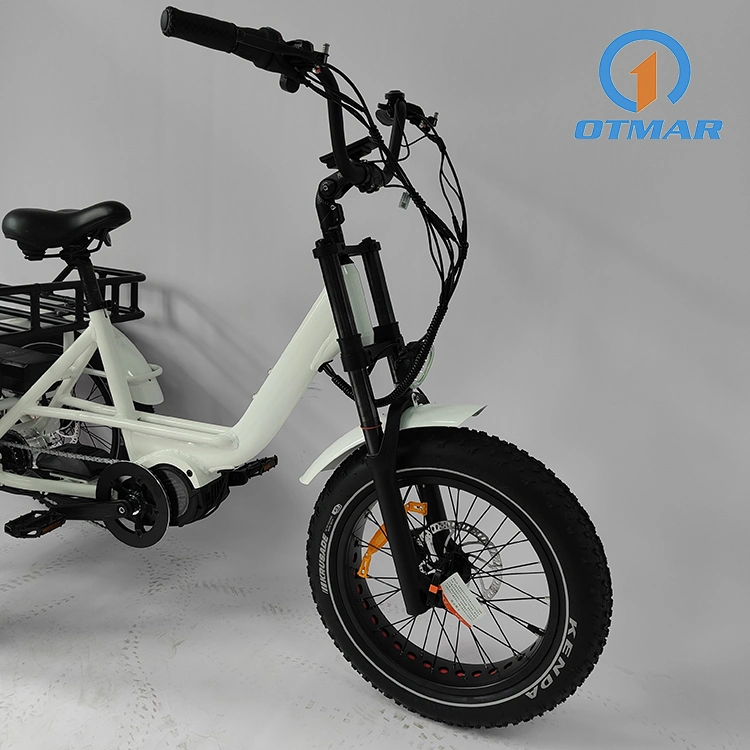 Customized 20&prime;&prime; Fat Tire Electric Cargo Trike MID Drive 3 Wheel Electric Tricycle Dual Battery Mountain Snow E Trike Beach Adult Tricycle with High Quality