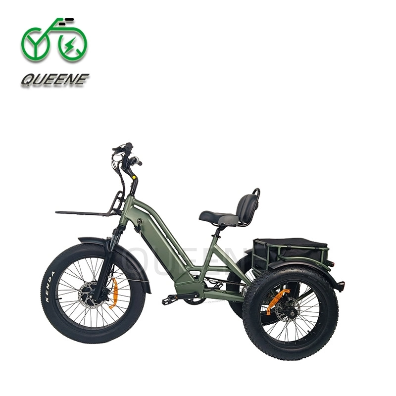 Wholesale 750W/500W 3 Wheel Cargo Chainless Electric Tricycle Fat Tire Electric Bike for Adults