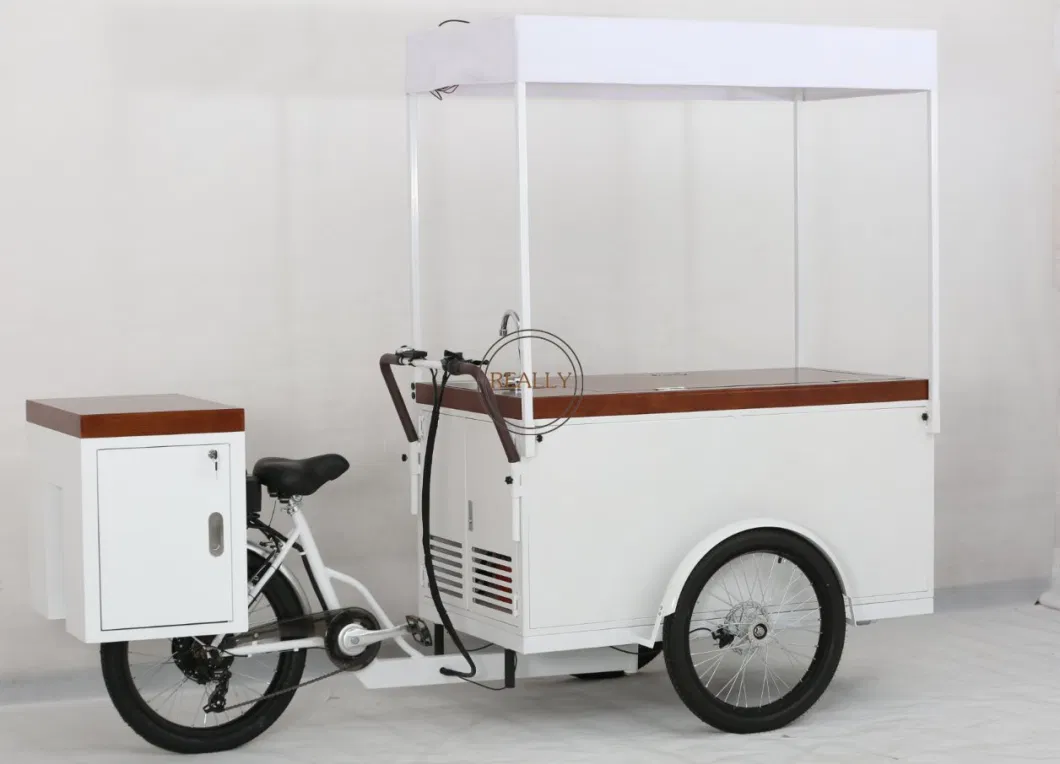 3 Wheel Ice Cream Freezer Trike Ice Cream Vending Bike with Refrigerator Summer Food Tricycle for Sale Cold Drinks