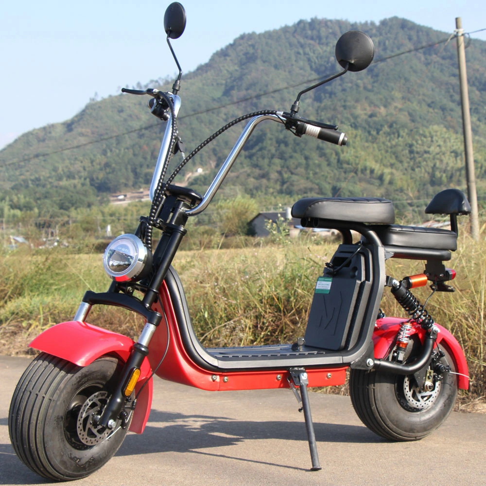 Wide Tire Double Two-Wheeled Battery Motorcycle Adult Lithium Battery Pedal Electric Bike Scooter