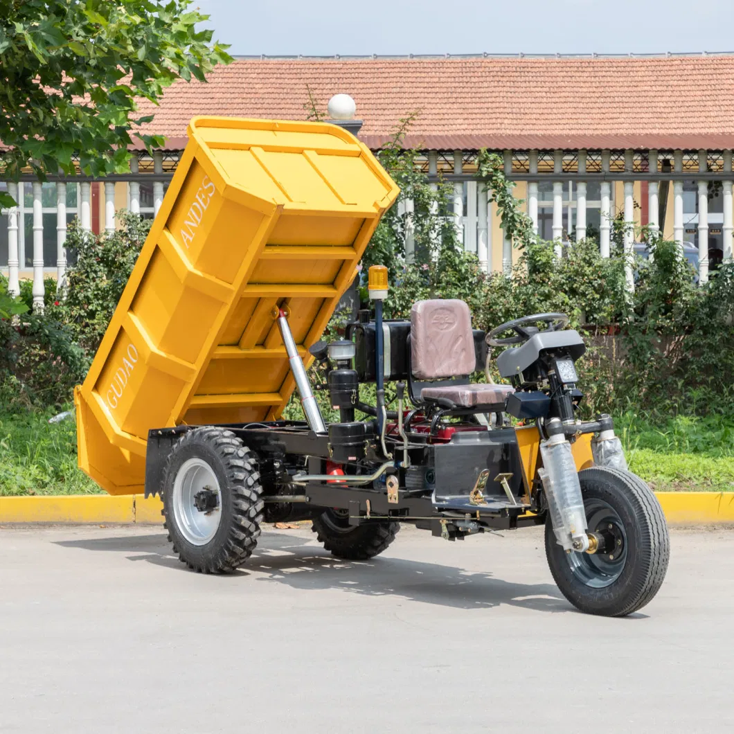 Power Saving 48V 60V 72V Mini Dumper Electric Cargo Tricycle 3 Wheel Tricycle Trailer 1 Kw 2 Kw 3 Kw Motor