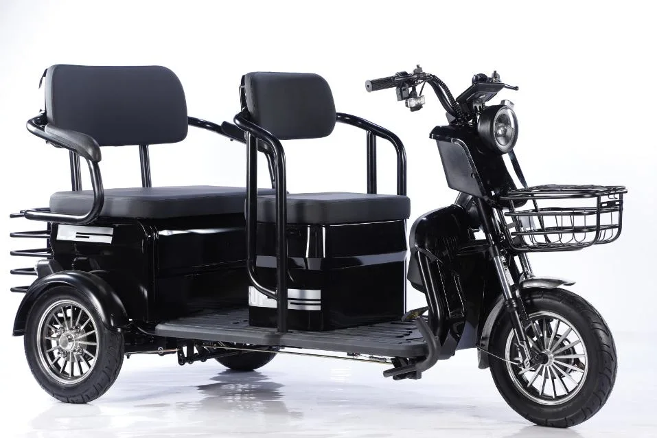 Electric Trike, Vehicle, Bicycle, Motorbike, Rickshaw, Closed Passenger and Cargo Tricycle, Three Wheel Motorcycle with Battery and Charger