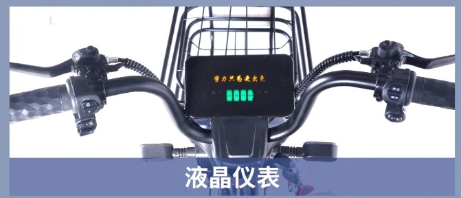 48V/60V 500W Electric Tricycle Front Rear Two Seats for Passenger