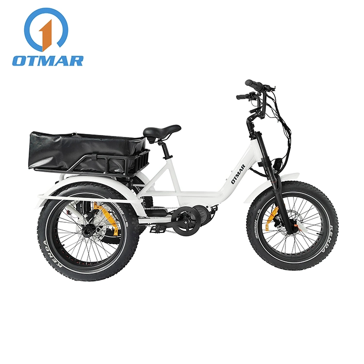 Customized 20&prime;&prime; Fat Tire Electric Cargo Trike MID Drive 3 Wheel Electric Tricycle Dual Battery Mountain Snow E Trike Beach Adult Tricycle with High Quality