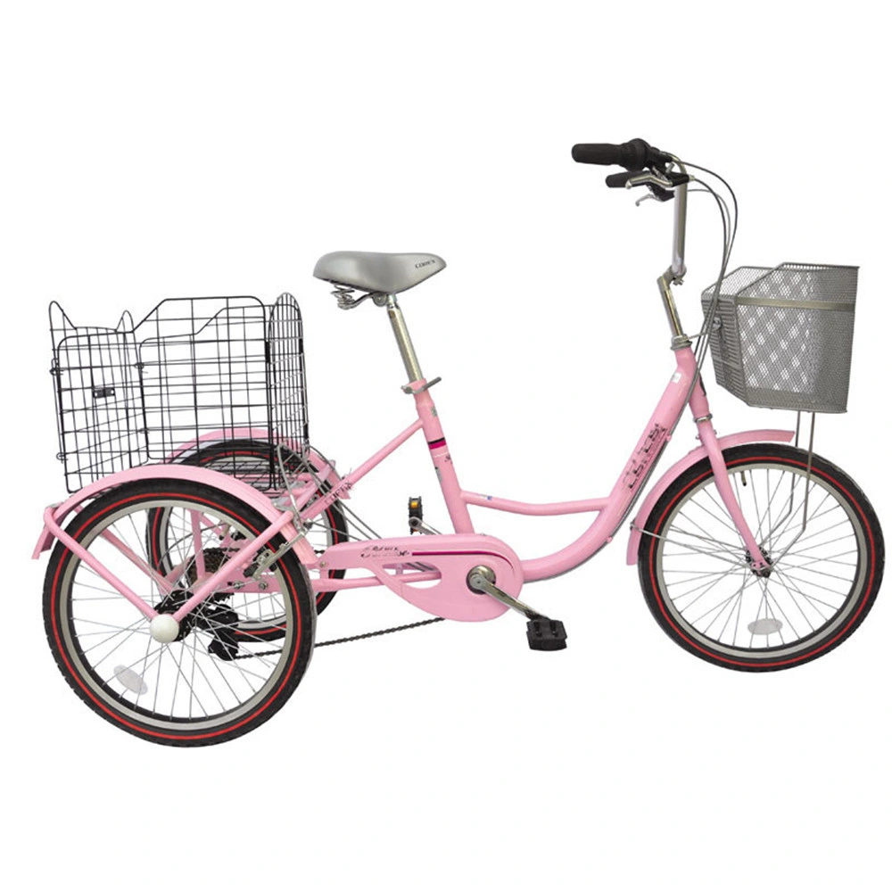 Front Basket Women Ebike Engine Adult Tricycle Ebay Equipment for Big and Disabled People