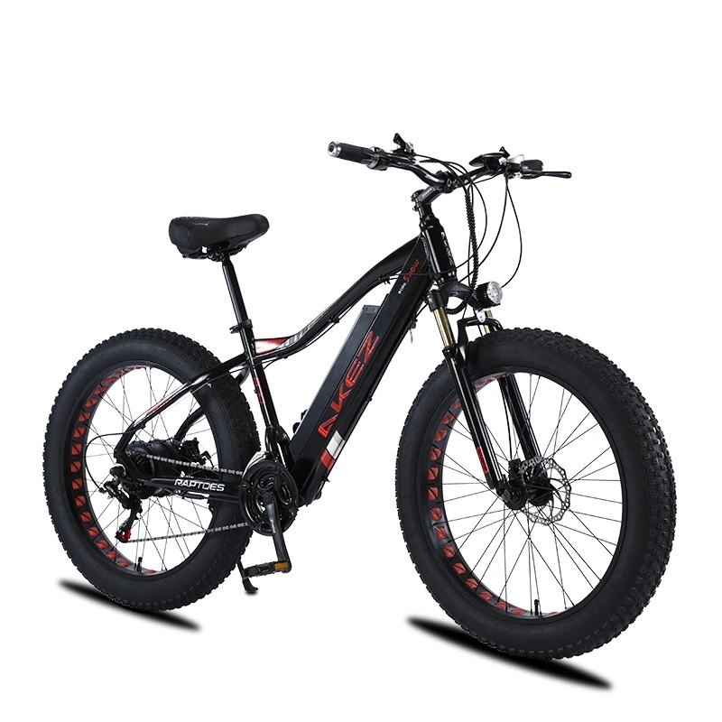 Two-Wheeled Electric Scooter 26inch Fat Tire 750W Snow Ebike