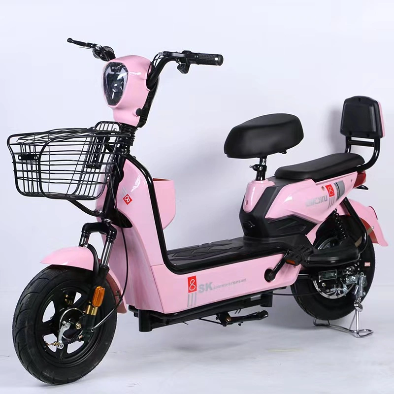 B2b Beach Rental Electric Three-Wheeled Bicycle Processing Factory OEM High Quality and Cheap Wholesale Price