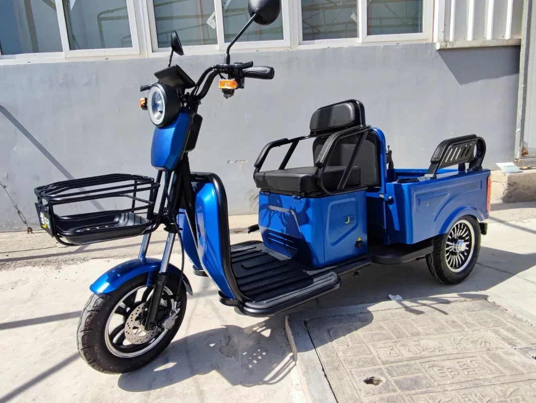 Best Offer EEC Coc Electric Tricycle with Foldable Seat Box for Passenger Elders for Europe