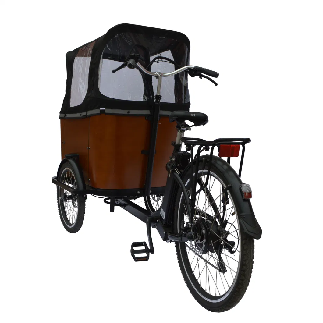 New Design 20/26 Inch Three Wheels Cargo Electric Tricycle E Cargo Bike for Adult