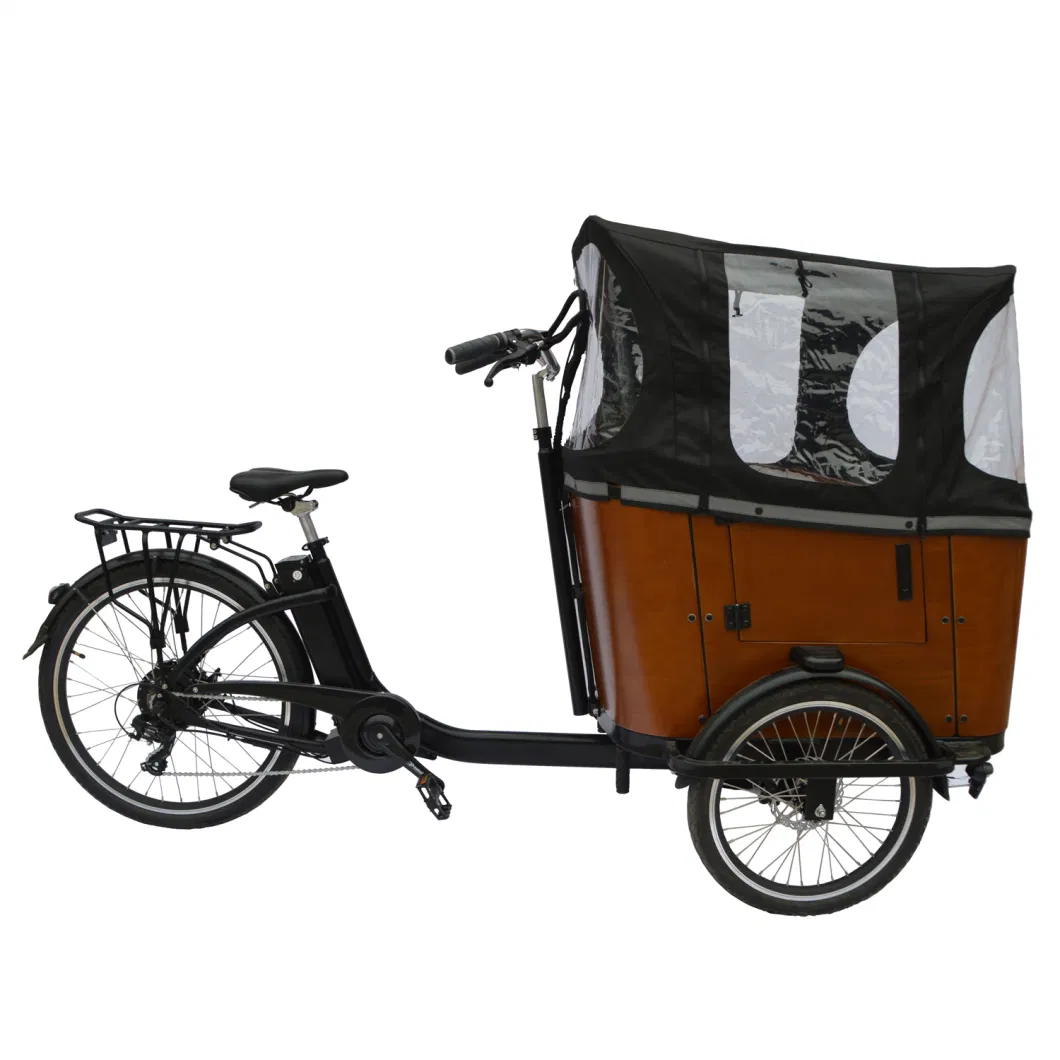 New Design 20/26 Inch Three Wheels Cargo Electric Tricycle E Cargo Bike for Adult