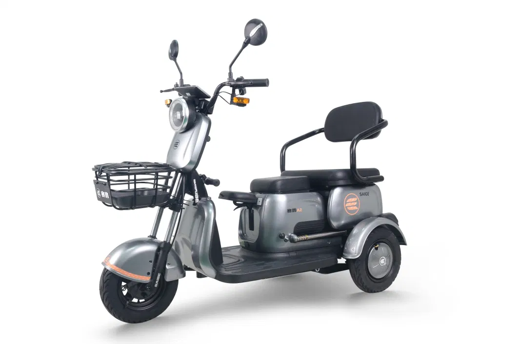 Saige Electric Trike Kate EEC for Adult 1000W New Vehicle 2023