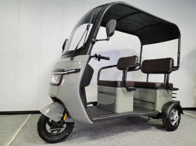 Электрический трехколесный автоцикл 1000 Вт для пассажиров и грузовых перевозок Рикша
