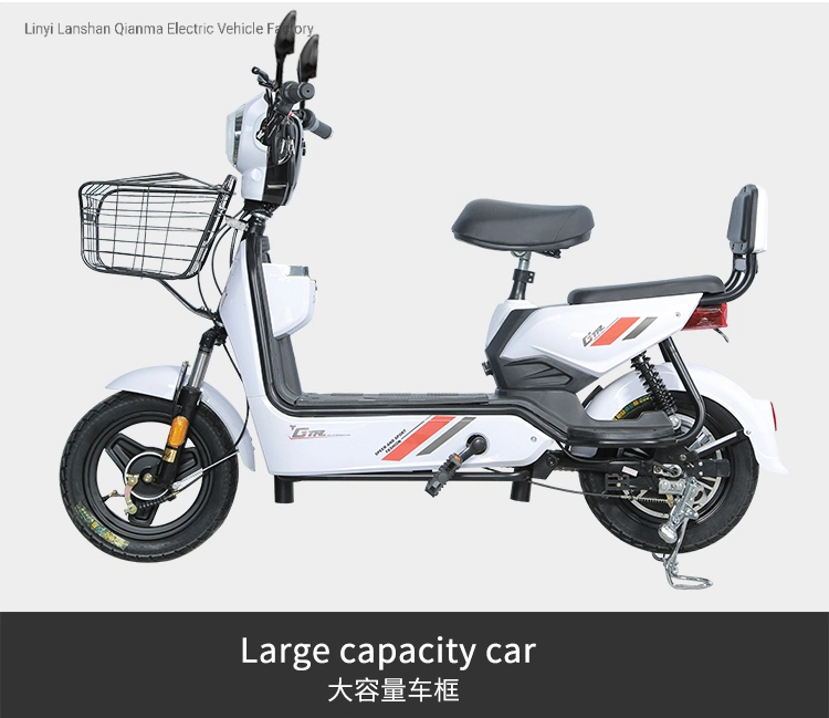 Adult Electric Bike for Sale China Factory