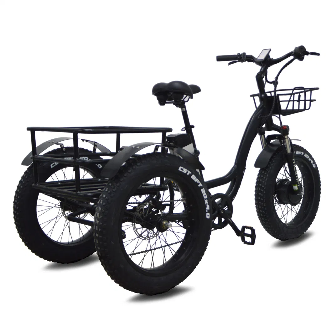 Electric Trike Fat Tire Electric Tricycle Three Wheels Adult Electric Cargo 3 Wheels Electric Vehicle