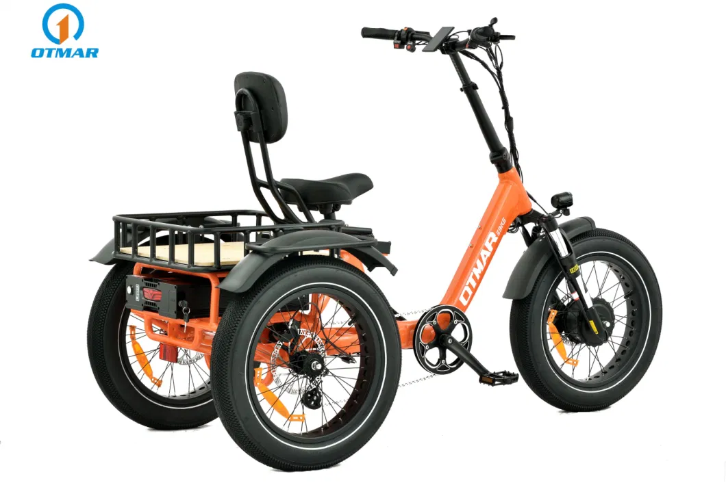 Otmar Ebike 48V Three Wheel Fat Tire Electric Tricycle Electric Trike