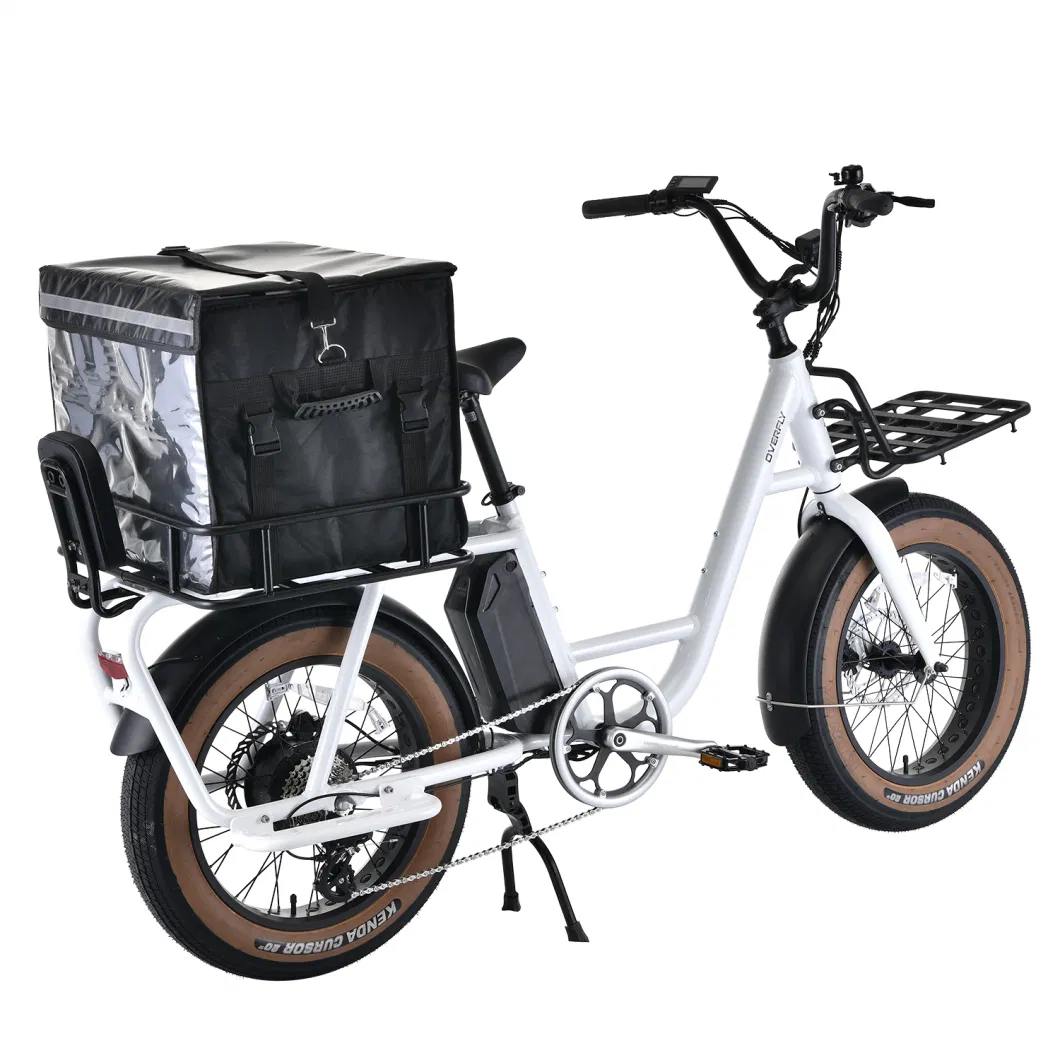 UTI 48V 500W Hub Motor Compact E-Cargo Bike 20&prime;&prime; Multifunctional Electric Bicycle