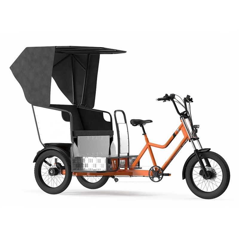 Best OEM and ODM Customized Fat Tire Three Wheels Adult Electric Tricycle