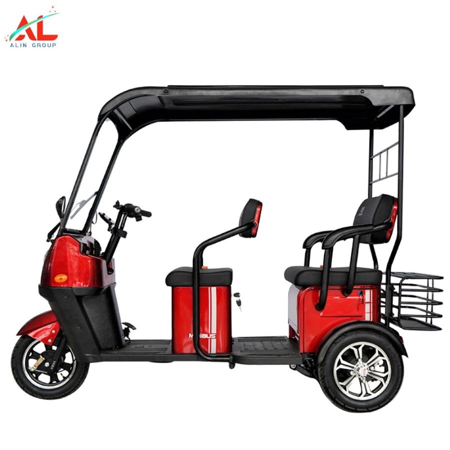 Wholesale High Quality 3 Wheel Adults Battery Powered Electric Tricycles Adultos Three Wheel Triciclo Electrico Trike for Sale