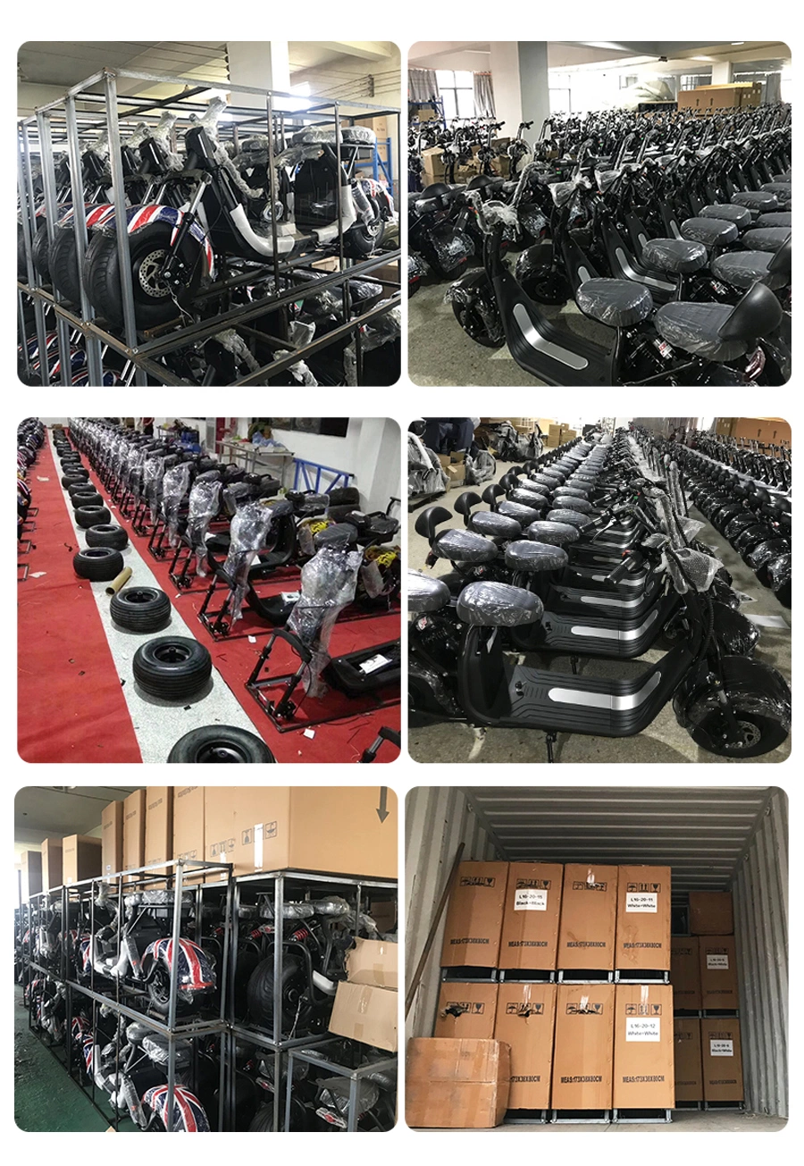 Newest Fat Tire EEC 3 Wheels Scooter Coc Approved Adult Hub Depan Electric Motorcycle Cheap Tricycle 1500W Motor Citycoco