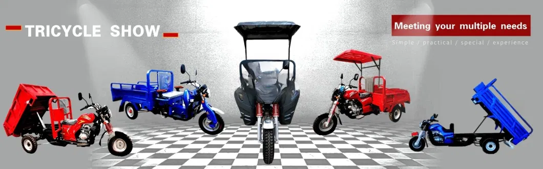 Low Price 2 Seat 3000W Hub Motor Heavy Load 3 Wheel Delivery EV Motorcycle Cargo Powerful Adult Rechargeable Electric Tricycle