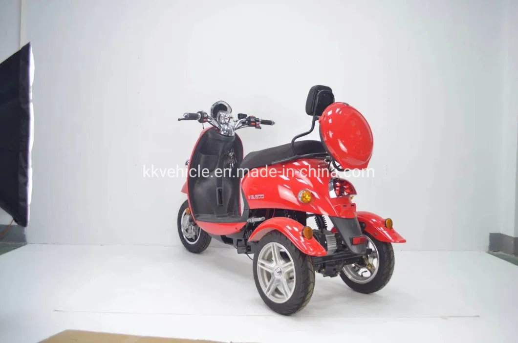 60V650W Electric Tricycle with EEC for Young People