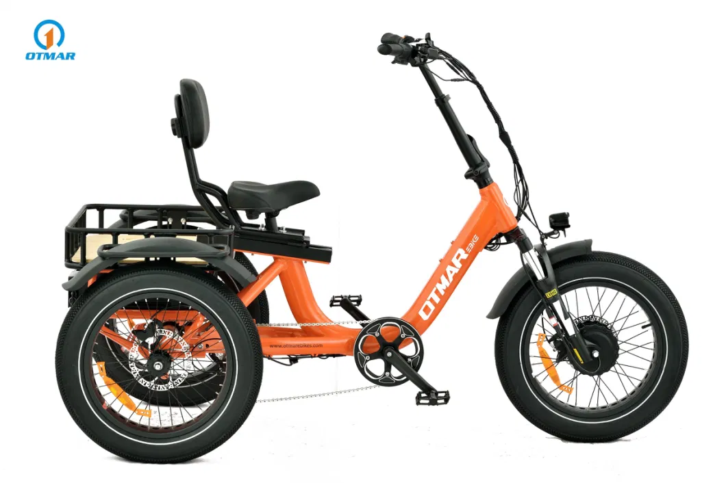 Otmar Ebike 48V Three Wheel Fat Tire Electric Tricycle Electric Trike