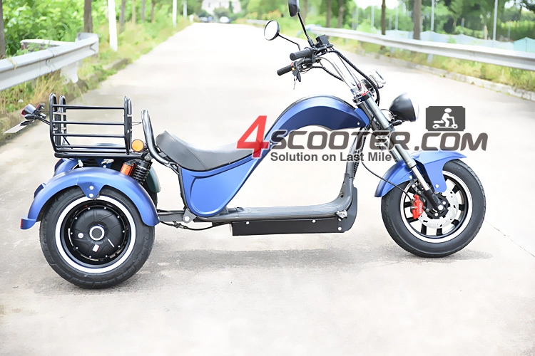 Electric Motorcycle 3 Three Wheel Scooter for Sale Trike From Europe Warehouse